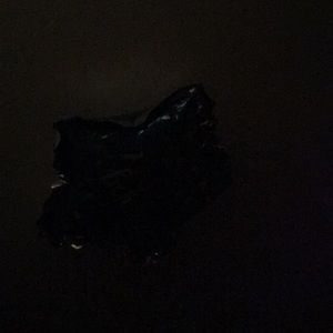 Meet your Posher, Nguyen